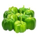 capsicum