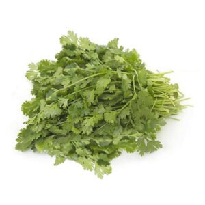 coriander
