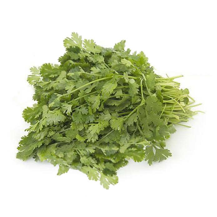 coriander